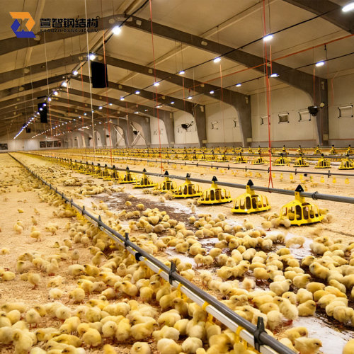 Високоякісні сталеві укриття для худоби