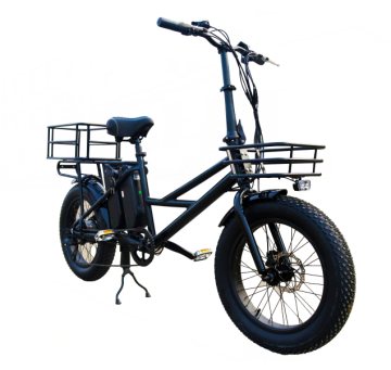 grace neopren most popular electric bicycle