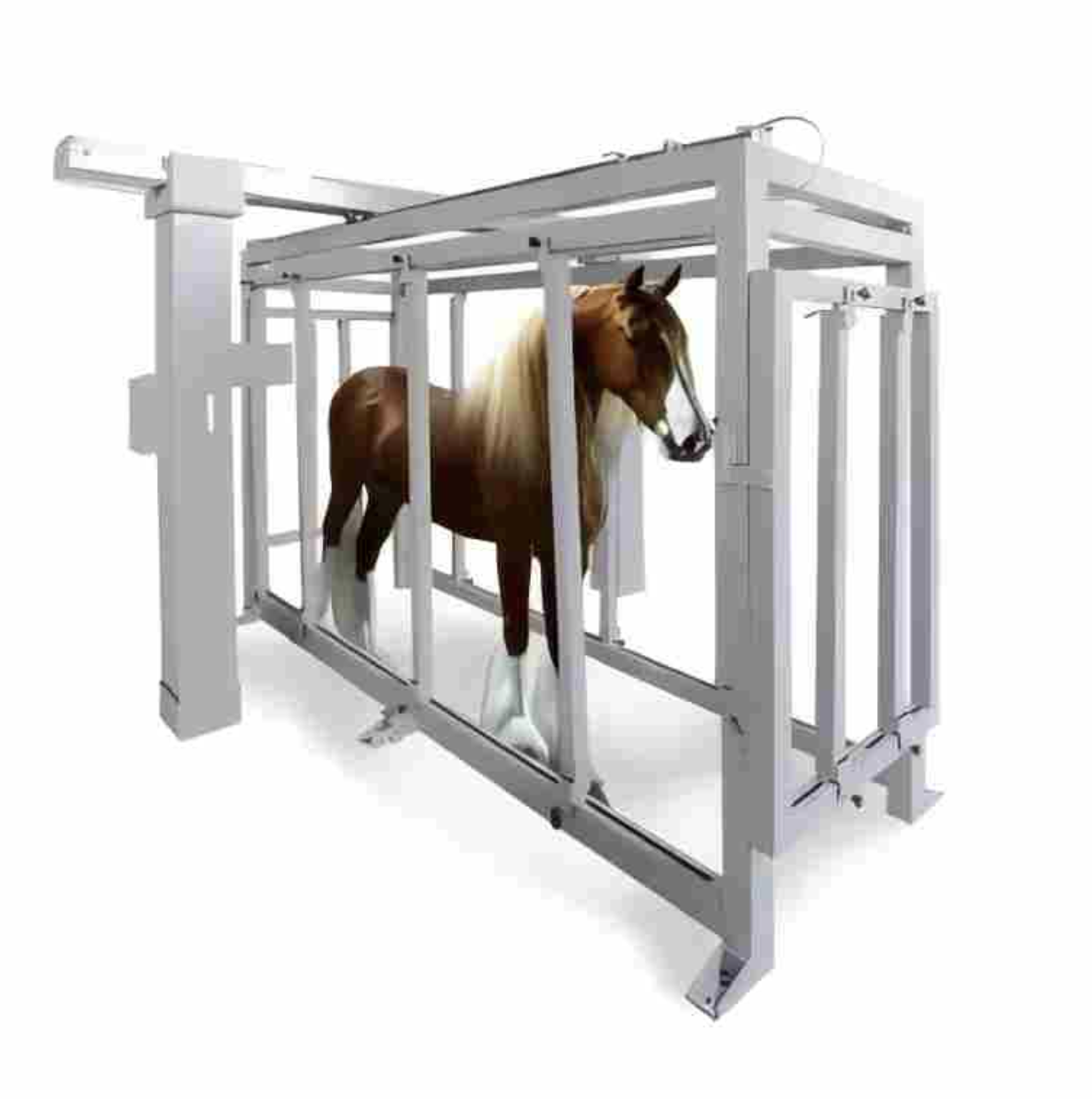 Large Animal X-ray Gantry