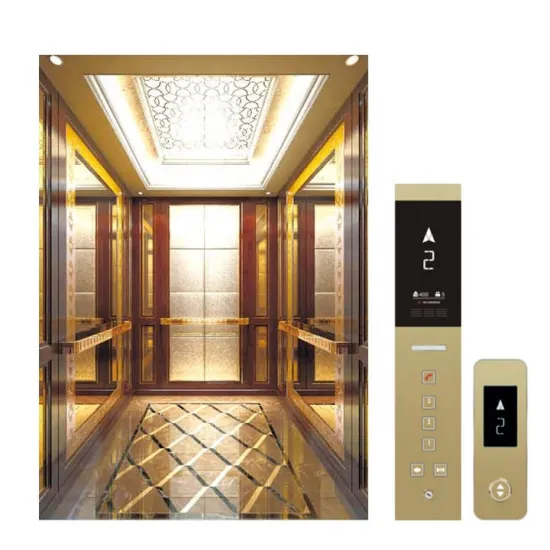China Residential Passenger Elevator Prices for Home Installation (320kg-450kg, 2-3 Floors)