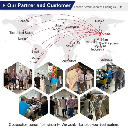 Custom Precision Die Cast Stainless Steel Brackets & Small Parts Forging Services