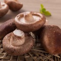 Сушаныя на сонца грыбы шыітаке без серы