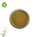 Powerful Herbal Extract Natural Rock Rose Extract Powder