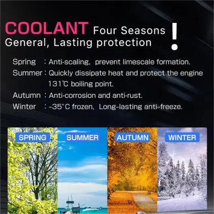 Japan MASUMA Long Life Antifreeze Ethylene Glycol Coolant for Car Radiator (Red/Blue/Green)