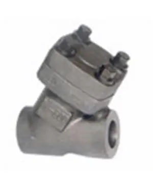 Y type lift check valve