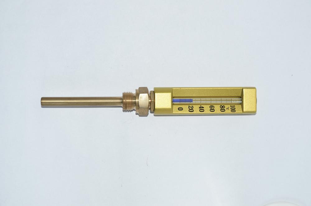 Marine Thermometer1