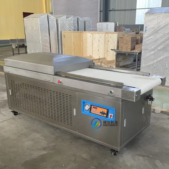 Brick Shape Vacuum Packaging Machine for Meat, Fish, and Chicken