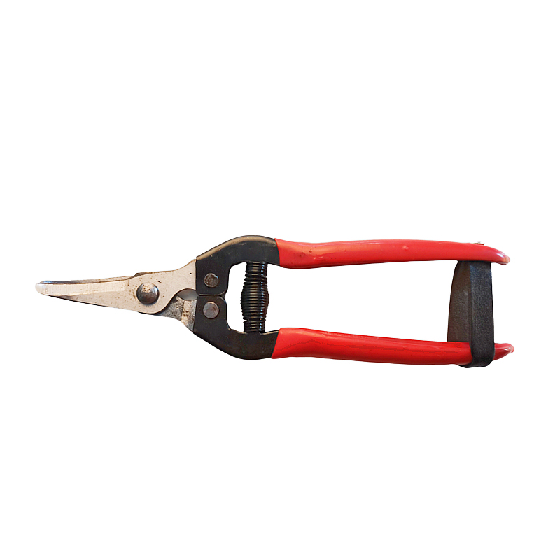 2023 new type hand tool fruit pruning shear