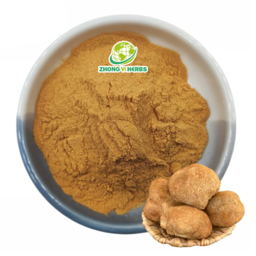 Zhongyiherbs Lions Mane Dual Extract Powder