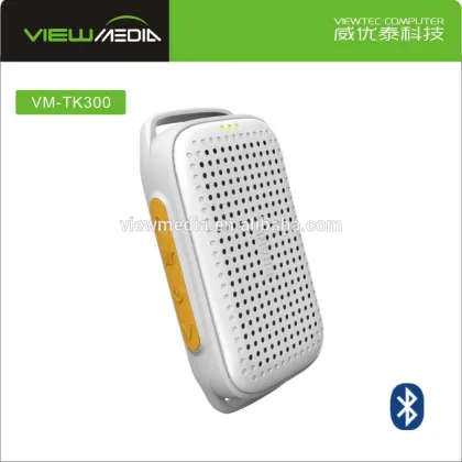 TK300 smart band 2016 top tech audio speaker bluetooth