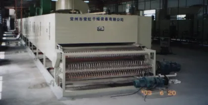 Dw Series Mesh Belt Dryer for Dehydrated Vegetable