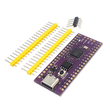 Raspberry Pi Pico RP2040 Boîte à microcontrôleur à double cœur - 16 Mo de RAM 128Mbit