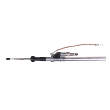 Car Antenna with AM/FM radio device