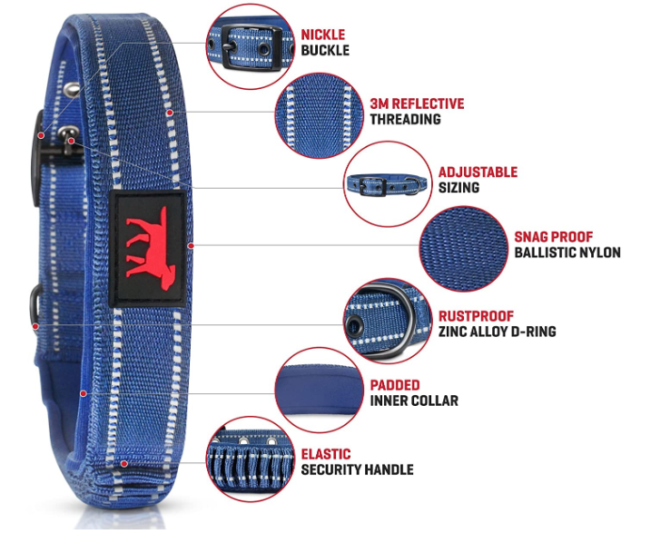 Wide Dog Collars