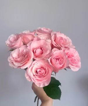 Harmonie Pink Rose Single-Headed Flower