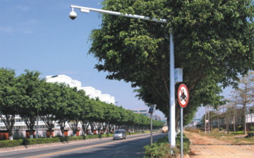 Traffic Light Pole