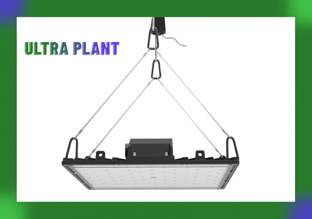 Full Spectrum For Herb Growing Light