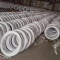 gi electro galvanized iron wire