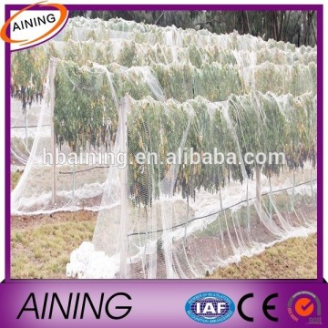 Net bird /Bird net manufacturer/bird garden protection net