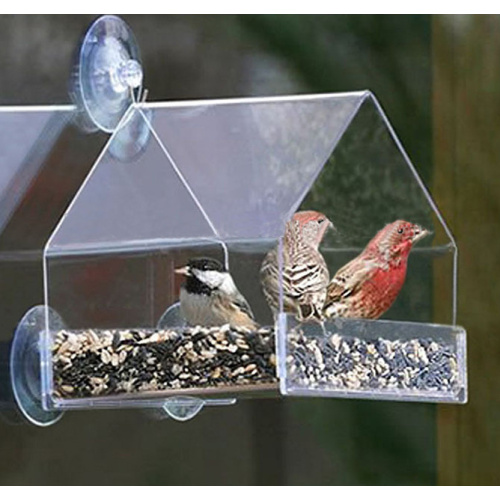 Customized Hummingbird Bird Feeder Best Seller