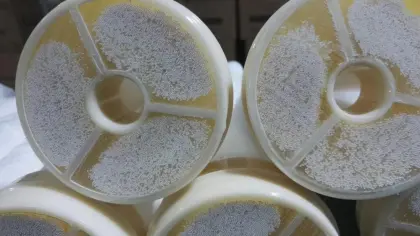 Ultrafiltration Membrane Water Filter (UDF)