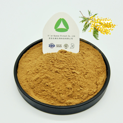 Acacia Rigidula Powder Acacia Rigidula Extract Natural Radix 10:1 Organic Powder Manufactory
