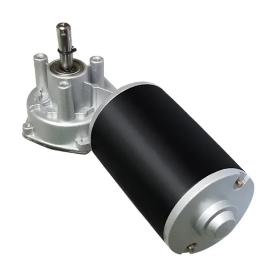 Small Worm Gear Motor DC Robot Motor