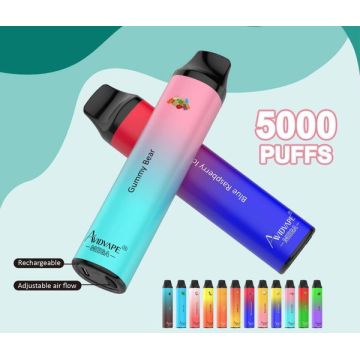 Disposable Vape 5000 Puffs Avidvape