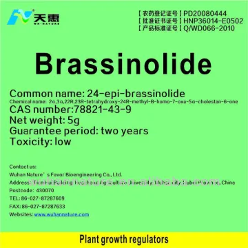 high effective natural plant growth regulator Brassinolide>=90%TP