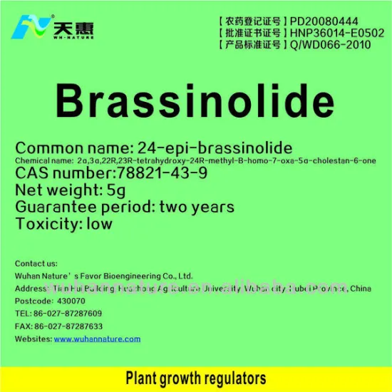 high effective natural plant growth regulator Brassinolide>=90%TP