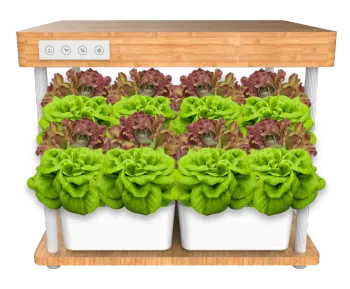 SHENPU Smart Indoor Hydroponic Bamboo Flower Pots