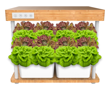 SHENPU Smart Indoor Hydroponic Bamboo Flower Pots