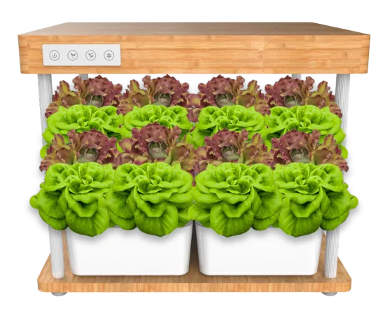 SHENPU Smart Indoor Hydroponic Bamboo Flower Pots