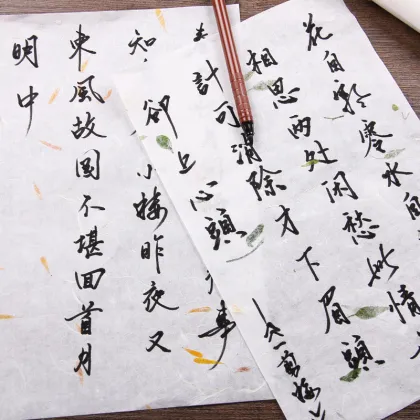 10pcs/set Chinese Xuan Paper Painting Paper Calligraphy Painting Paper Chinese Style Vintage Letters Stationery