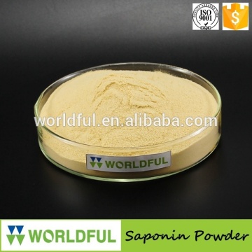 best price Organic saponin powder,Tea saponin powder 60%, Agriculture and Aquaculture