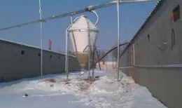 Air Delivery Feeding System