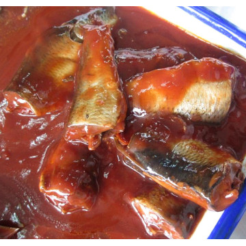 Ikan Herring Kalengan Dalam Saus Tomat Dengan Minyak