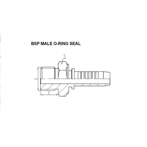 BSP Male O-RING Seal 12211