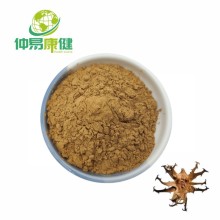 5% Harpagoside Devil's Claw Root Extract Powder