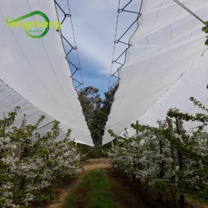 Grape Rain Covers Table Grape Rain Protection Covers