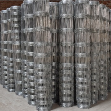 Expandable Grass Veldspan Field Fence Galvanized Fence
