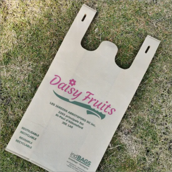 Non Woven Shopping Bags Multifunctional And Designed