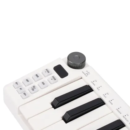Portable Mini 25 Key Digital Piano - Professional Electronic MIDI Keyboard Controller
