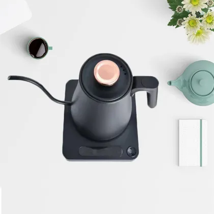 Customized Brand Electric Kettle with Gooseneck Spout