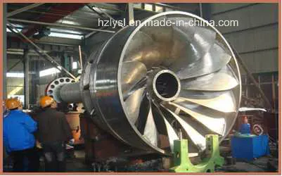 Hydroturbine Blades in The Three Gorges Dam