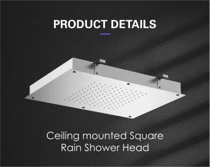 Big bathroom overhead shower head