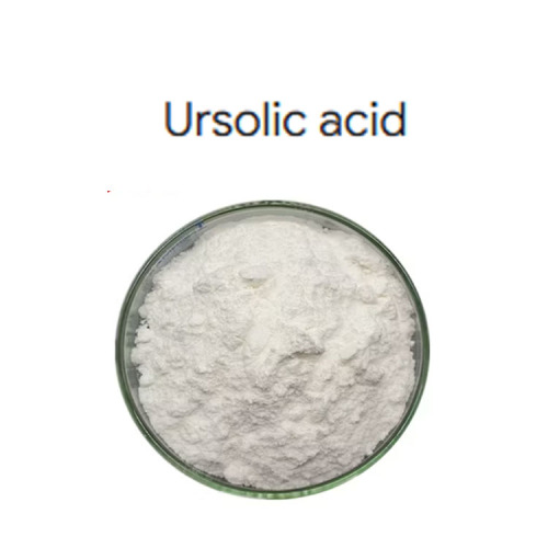 Ursolic Acid Powder Natural Plant Extracts CAS 77-52-1