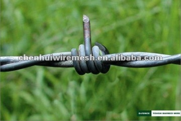 Super quality weight barbed wire