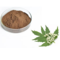 Best function cnidium monnieri extract powder fructus cnidii