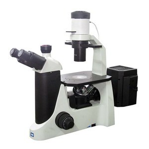 Inverted Trinocular Fluorescence Microscope for Routine Applications (LIF-302)